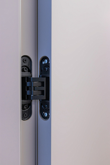 Межкомнатная дверь  