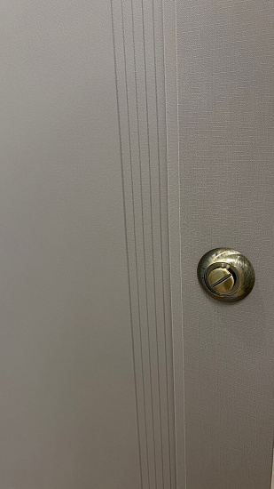 Межкомнатная дверь  