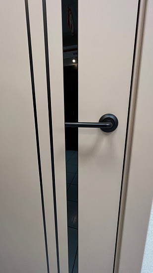 Межкомнатная дверь  