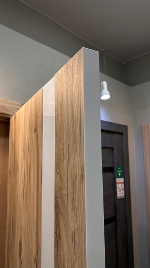 Межкомнатная дверь  